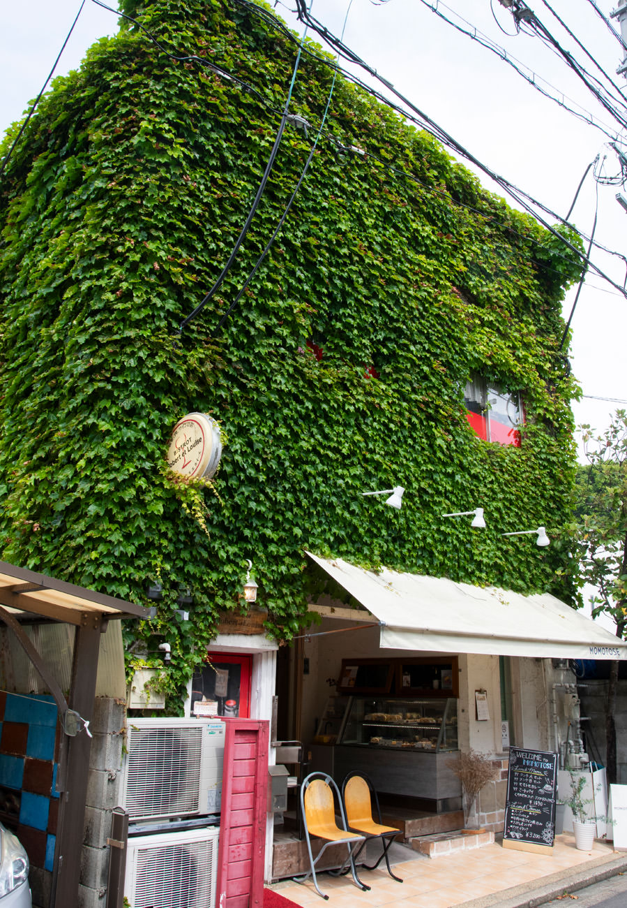 第3回おかしなメニューコンテスト in 福岡 | 春日井製菓