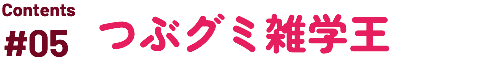 つぶグミぴったり王