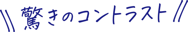 驚きのコントラスト